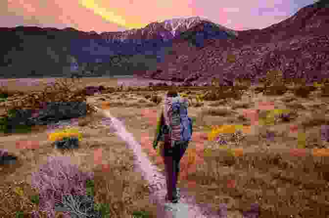 A Backpacker Hiking Through A Lush Forest On The Pacific Crest Trail Backpacking: Washington: Overnight And Multiday Routes