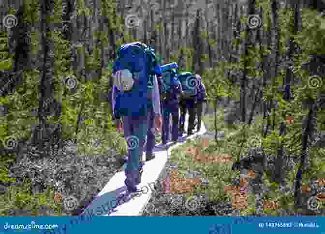 A Group Of Hikers Trekking Through A Lush Forest On The Appalachian Trail, With Sunlight Filtering Through The Trees A Walk For Sunshine: A 2 160 Mile Expedition For Charity On The Appalachian Trail