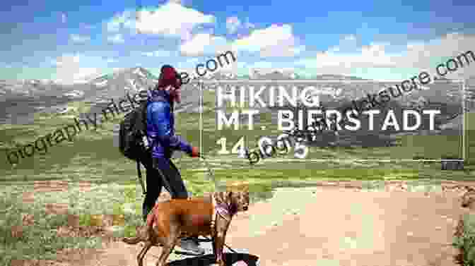 A Hiker And Dog Ascend The Challenging Mount Bierstadt Trail Best Dog Hikes Colorado Emma Walker