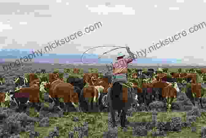 A Large Herd Of Cattle Being Driven Across The Open Range, With Cowboys On Horseback Riding Alongside The Great American Cowboy: A Ride Through History
