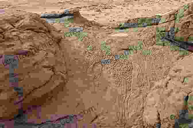 A Rock Carving In The Sahara Desert Sahara Michael Palin