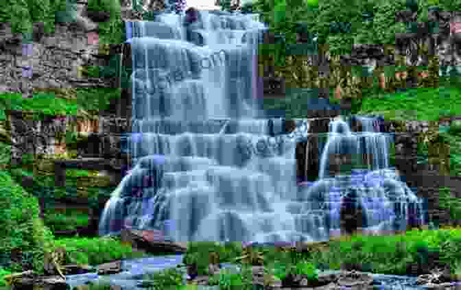 A Serene Image Of A Waterfall Cascading Into A Crystal Clear Pool Of Water, Surrounded By Lush Vegetation. Water Blessed (Water Realm 1)