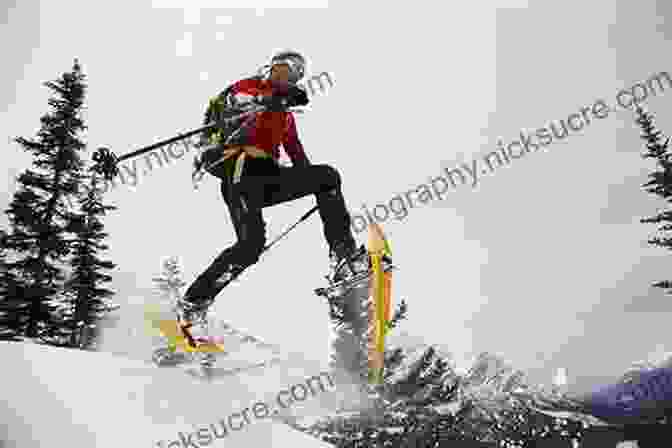 A Skier Gliding Through The Snow On New Wave Nordic Skis With A Fixed Layout New Wave Nordic Skiing FIXED LAYOUT VERSION : Not Just Another Ski