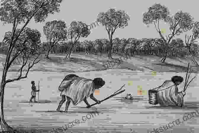 Aboriginal Women Digging For Yams Dark Emu: Aboriginal Australia And The Birth Of Agriculture