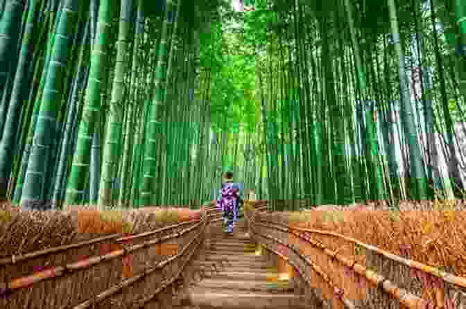 Arashiyama Bamboo Forest, A Tranquil Path Through A Dense Bamboo Grove, With Sunlight Filtering Through The Tall Stalks, Creating An Ethereal Atmosphere Top 10 Beautiful Places To Forget The Way Back In Japan : Definitely Have To Check In Right Away
