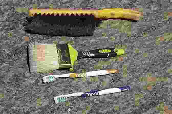 Archaeological Brush Archaeological Survey (Archaeologist S Toolkit 2)