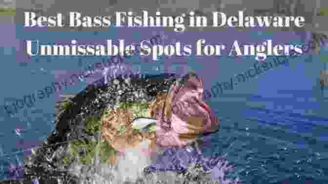 Delaware River, A Prime Spot For Bass Fishing Flyfisher S Guide To New Jersey: Coldwater Warmwater And Saltwater