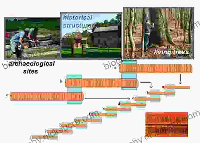 Dendrochronology Tree Rings Archaeological Survey (Archaeologist S Toolkit 2)