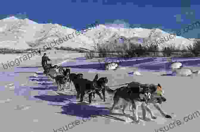 Michael Palin On A Dogsled In The Arctic Pole To Pole Michael Palin