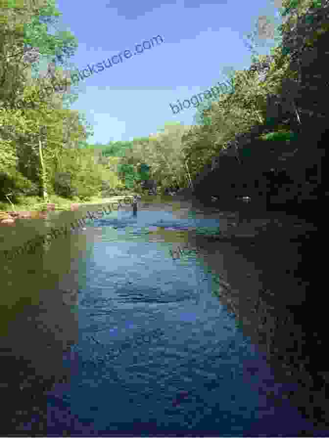 Paulinskill River, A Renowned Trout Stream In New Jersey Flyfisher S Guide To New Jersey: Coldwater Warmwater And Saltwater