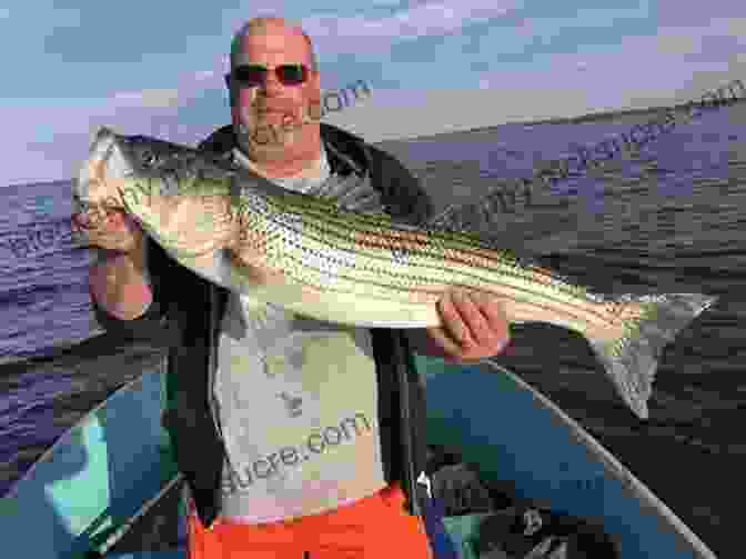 Raritan Bay, A Saltwater Estuary For Striped Bass Fishing Flyfisher S Guide To New Jersey: Coldwater Warmwater And Saltwater