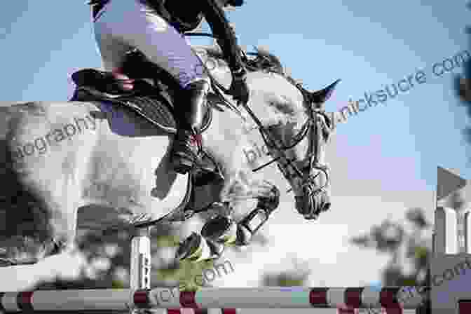 Scarlett Thomas, Florida Equine Athlete, Riding A Horse Over A Jump At A Competition. Florida Equine Athlete: March 2024 Scarlett Thomas