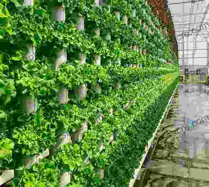 Vertical Farming Facility With Stacked Layers Of Crops Once Upon A Time We Ate Animals: The Future Of Food