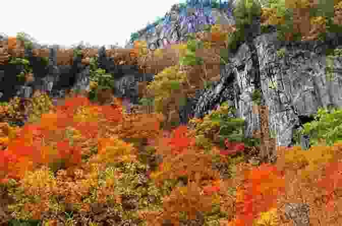 Vibrant Fall Foliage Along The Appalachian Trail. Nature Of The Appalachian Trail: Your Guide To Wildlife Plants And Geology