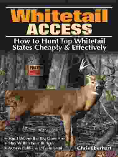 Whitetail Access: How To Hunt Top Whitetail States Cheaply And Effectively