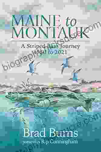 Maine To Montauk: A Striped Bass Journey 1950 To 2024