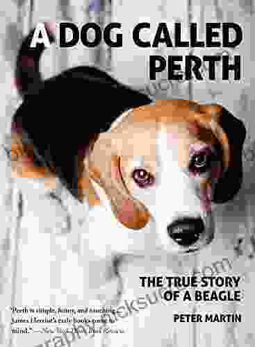 A Dog Called Perth: The True Story Of A Beagle