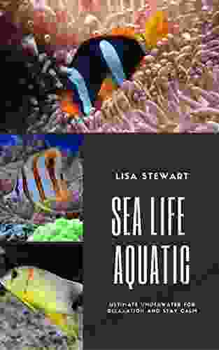 Sea Life Aquatic: Ultimate Underwater For Relaxation And Stay Clam For Kids Adults And Senior