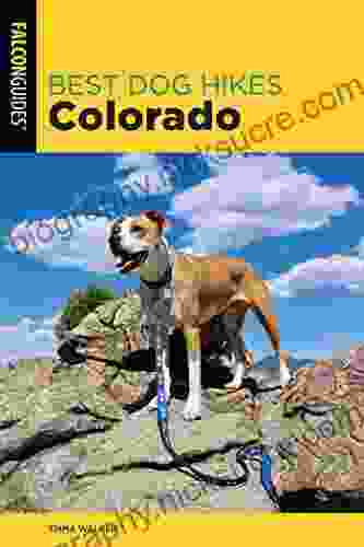 Best Dog Hikes Colorado Emma Walker